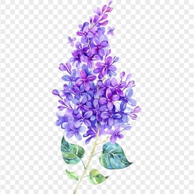 Watercolor Branch With Leaves And Violet Flowers