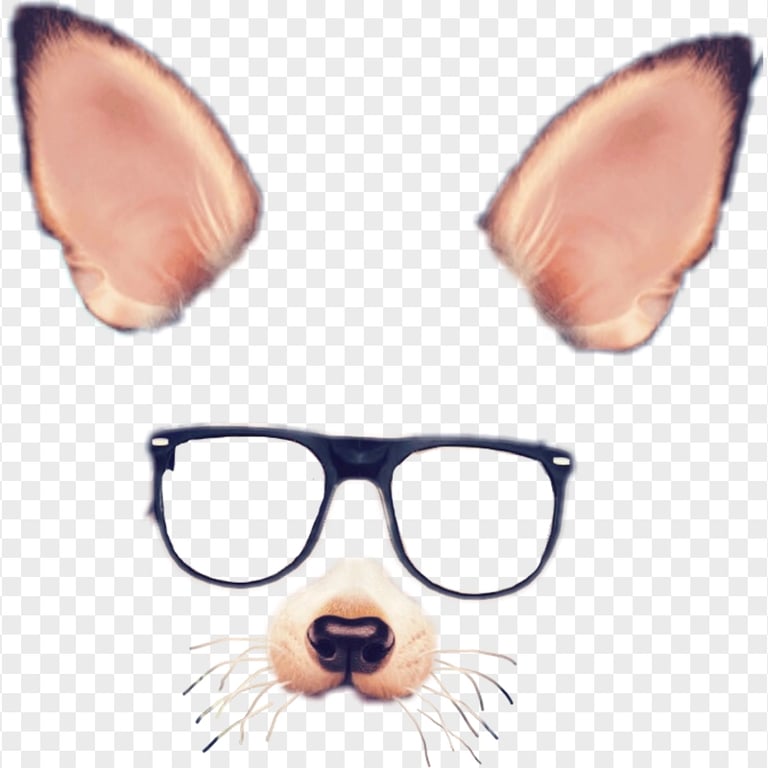 Snapchat Dog Puppy Filter Glasses Ears & Nose PNG Image