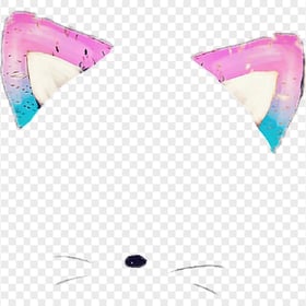 Snapchat Kitten Cat Face Cute Filter Ears & Nose PNG Image