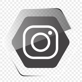 Hexagonal Instagram Glossy Black & White Icon