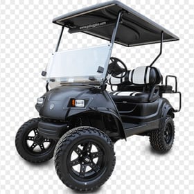 Black Golf Buggies Cart Car Vehicle Two Seater