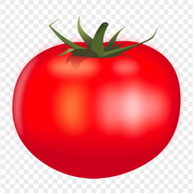 HD Fresh Vector Illustration Tomato Fruit Vegetable PNG