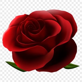 Red Rose Flower Download PNG