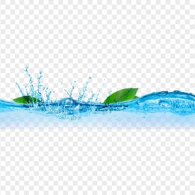 HD Fresh Green Leaves Water Splash PNG