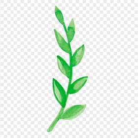 Painting Green Leaves Branch Image PNG