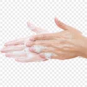 Hand Wash Cleaning Water Hygiene Sanitizer