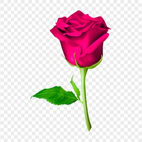 Pink Flower Rose With Green Leaf Illustration HD PNG