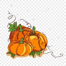 Group Of Pumpkins With Leaves Vector Clipart