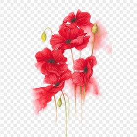 Download HD Watercolor Red Flowers PNG