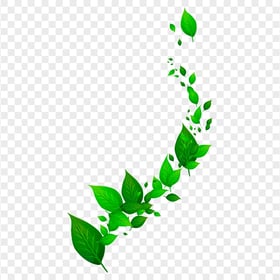 HD Green Leafed Branch llustration Nature PNG