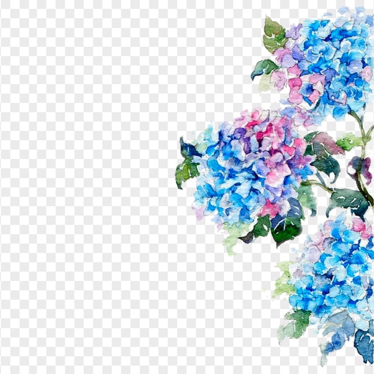 Watercolor Leaves Flowers PNG Image