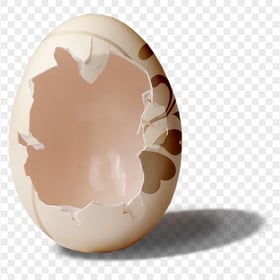 Real Broken Egg Shell Transparent Background