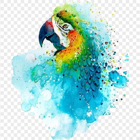Parrot Bird Painting Watercolor