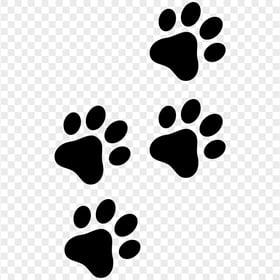 Black Cat Paw Print Path HD Transparent Background