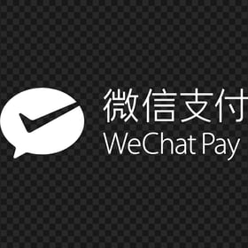 White WeChat Pay Chinese Text Logo Icon