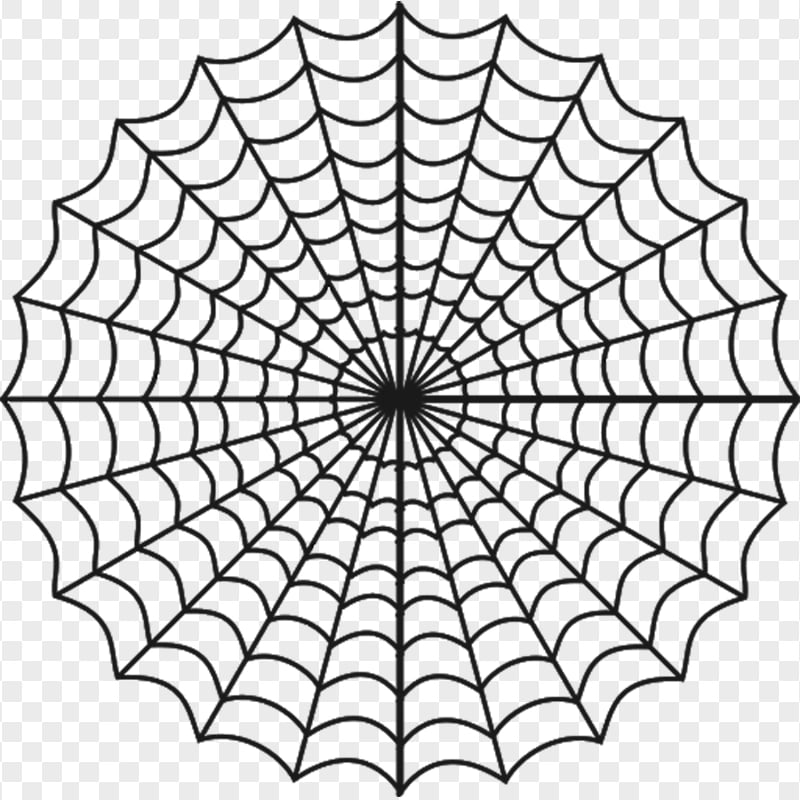 HD Spider Black Web Logo PNG 