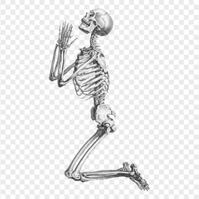 Human Skeleton Praying Transparent PNG