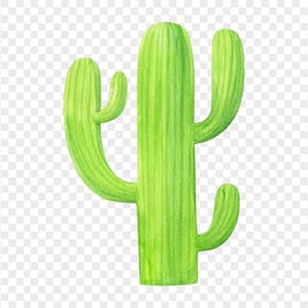 HD Watercolor Cactus PNG