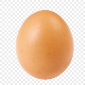 Brown Oval Chicken Egg HD Transparent Background