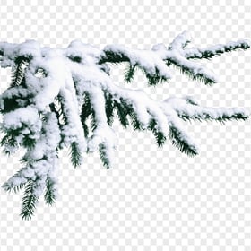 HD Christmas Snowy Pine Branch Transparent PNG