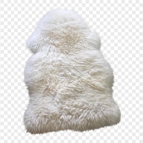 White Sheep Fur Download PNG
