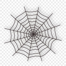 Halloween Spider Web Webspider HD PNG