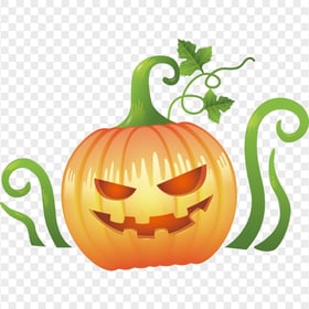 Halloween Pumpkin With Green Leaves Illustration