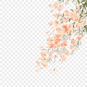 Watercolor Cherry Blossoms Tree PNG