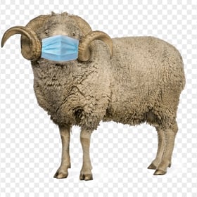 Surgical Mask Sheep With Horns Standing Up