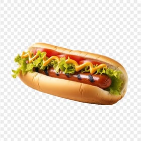 Tasty Hot Dog Sandwich with Tomato HD Transparent Background