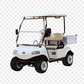 Electric Golf Cart Buggy Vehicle Two Seater