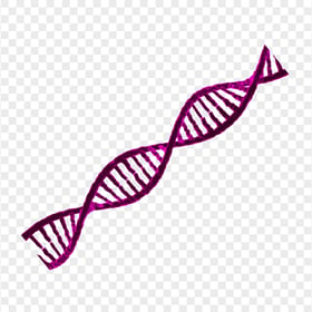 HD Pink DNA String PNG