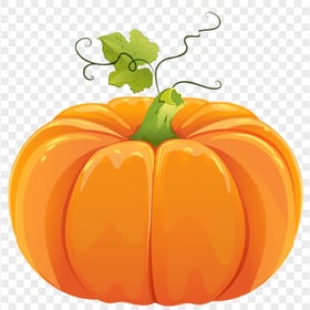 Orange Pumpkin With Leaf Food Illustration