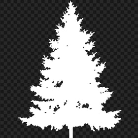 HD Real White Christmas Tree Palm Silhouette PNG