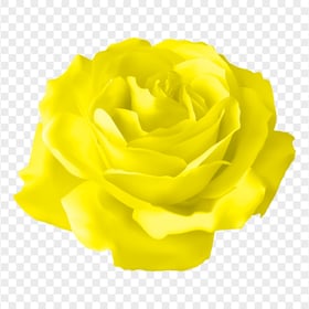 Yellow Vector Illustration Rose Flower HD PNG