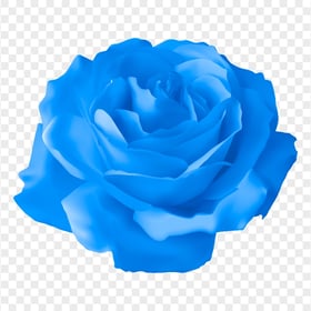 HD Vector Illustration Blue Rose Flower PNG