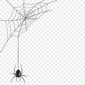 HD Realistic Spider Web Illustration Halloween PNG