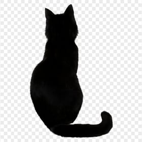 Black Cat Sitting Back View HD Transparent Background