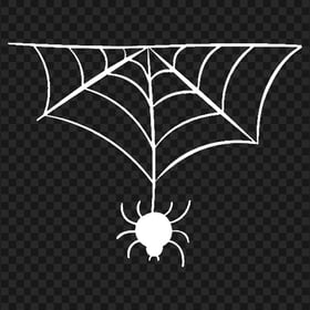 HD Halloween White Spider Web Insect PNG