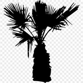 HD Black Mini Palm Tree Silhouette PNG