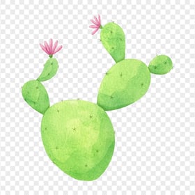 PNG Watercolor Cactus Flower
