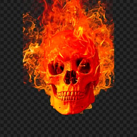 Skull Skeleton Head On Fire PNG
