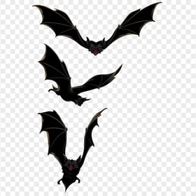 PNG Halloween Black Three Bats Illustration