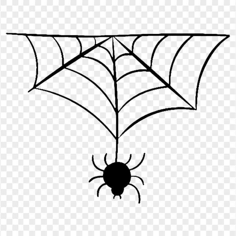 HD Halloween Black Spider Web Insect Transparent Background