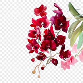 Watercolour Red Orchids Flowers PNG