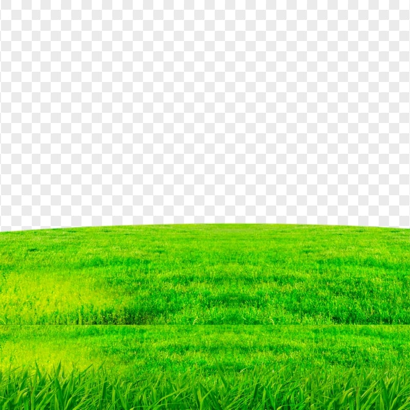 Green Lawn Grass Transparent Background | Citypng
