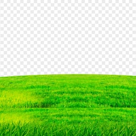 Green Lawn Grass Transparent Background