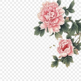 Chinese Pink Flower Illustration