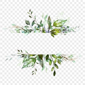 Watercolor Branch With Leaves Border HD PNG