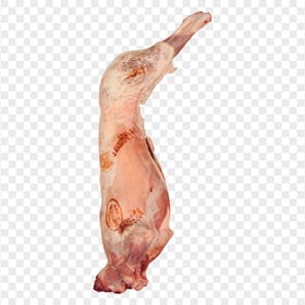 Whole Sheep Lamb Mutton Goat Meat